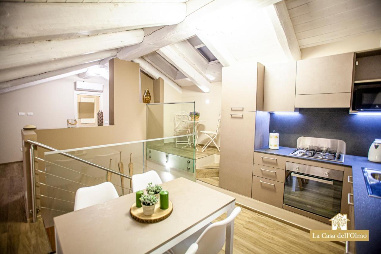 La Casa Dell'Olmo - Suite Apartment Cuneo Ngoại thất bức ảnh